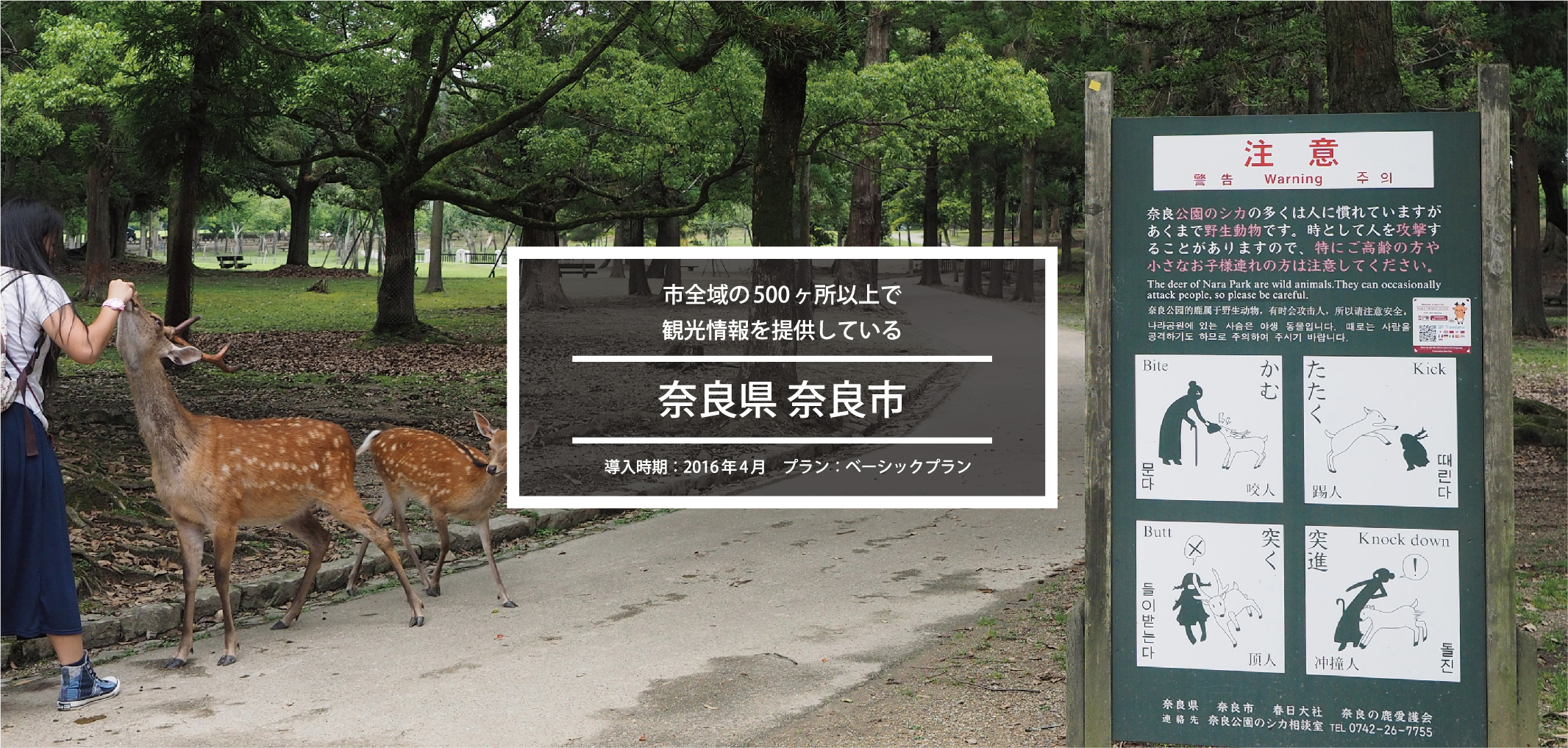 nara_1
