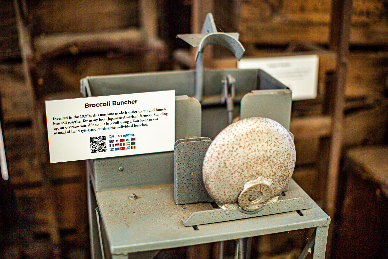 A photo of a QR Translator display in front of an exhibited machine called Broccoli Buncher